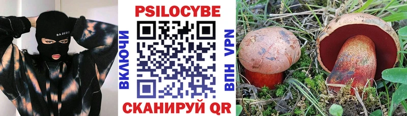 Купить Меленки Галлюциногенные грибы MAGIC MUSHROOMS